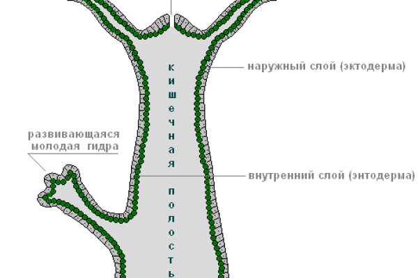 Что такое кракен маркет