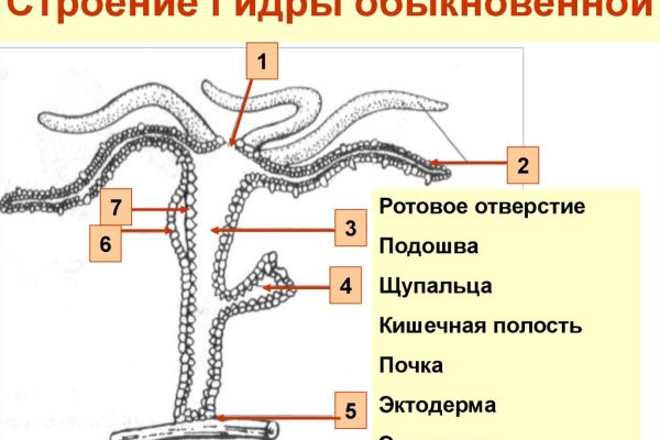 Kra40.at