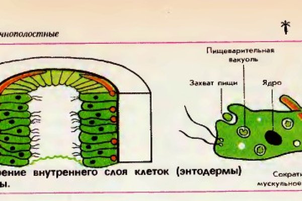 Кракен сайт пишет пользователь не найден