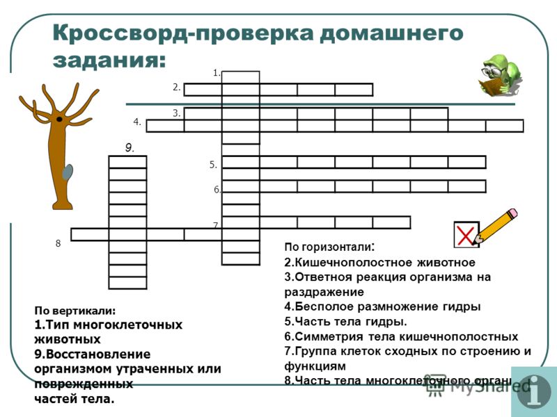 Как вывести деньги с кракена